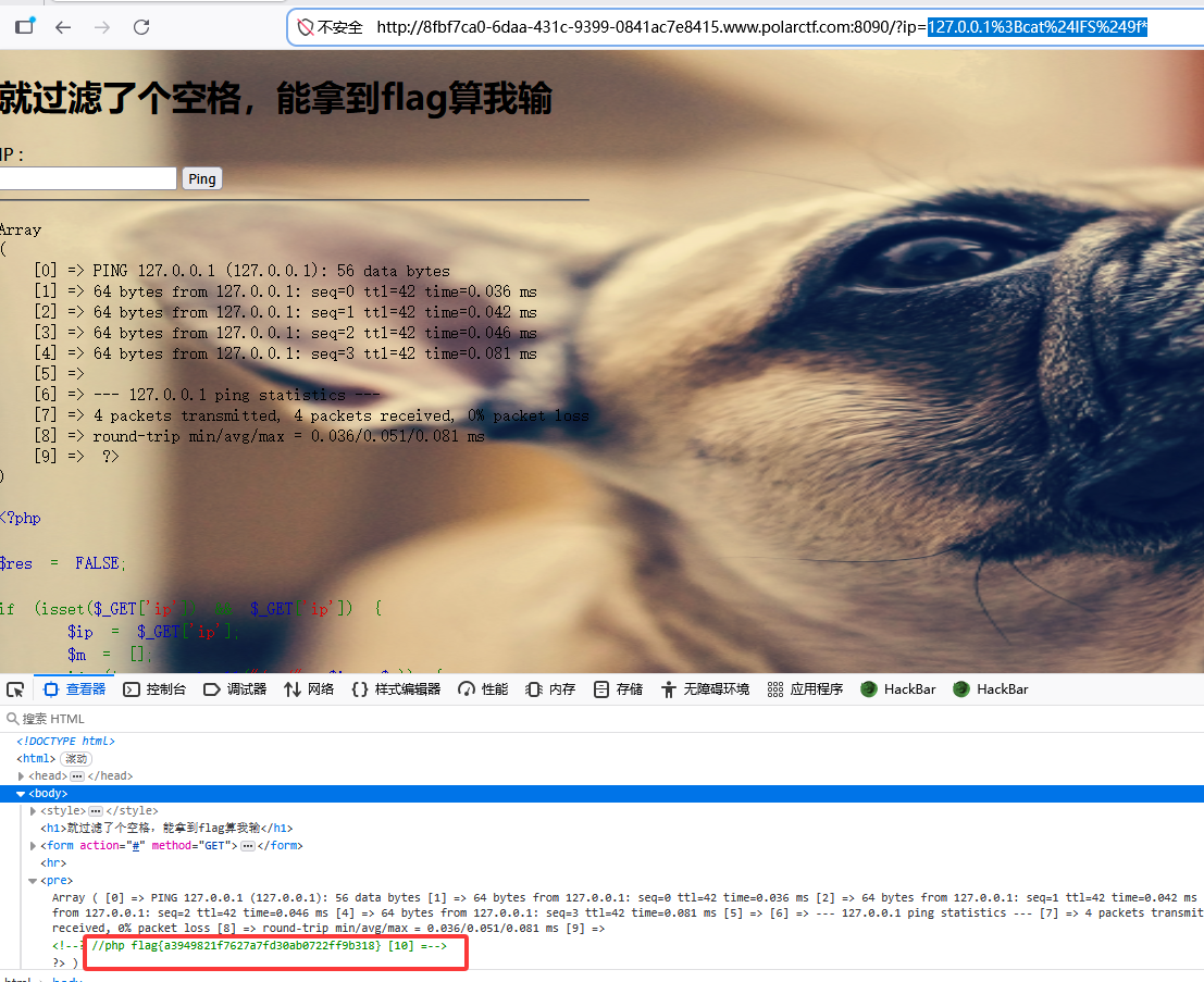 polar-rce1_a3cd4cd1